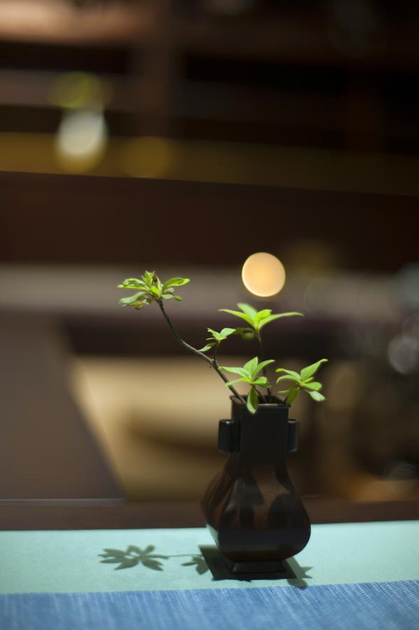 צ'נגדו At Heart Zen Hotel מראה חיצוני תמונה